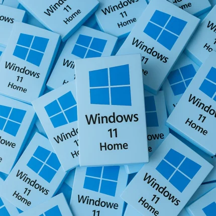 Windows 11 Home I 20 kusov