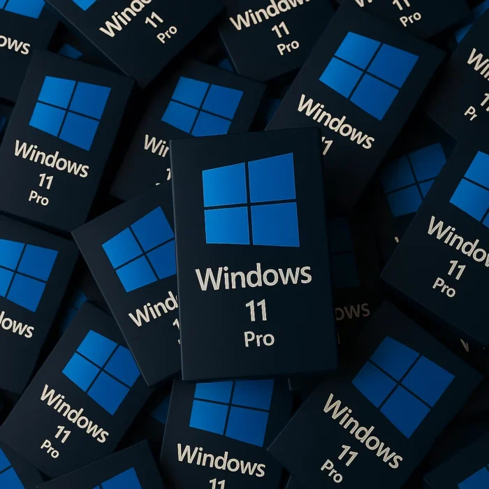 Windows 11 Pro | 20 ks